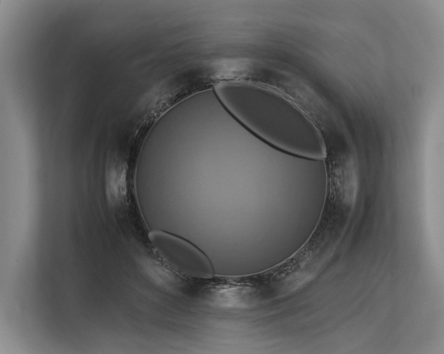 X0000113780504200909231318