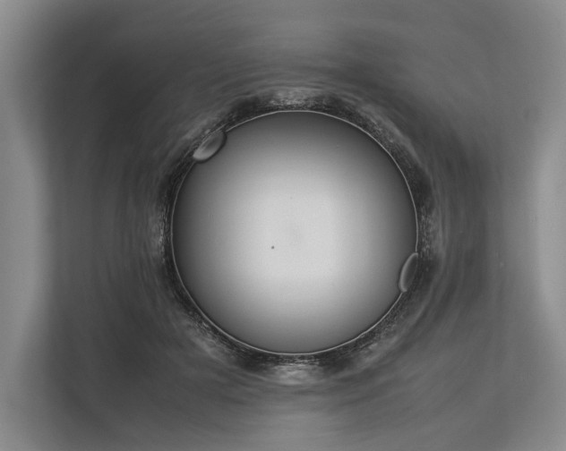 X0000113780505200909231318