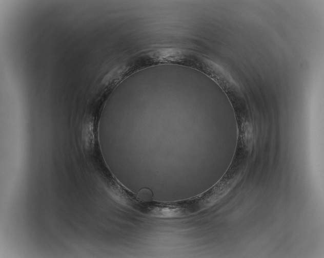 X0000113780506200909231318