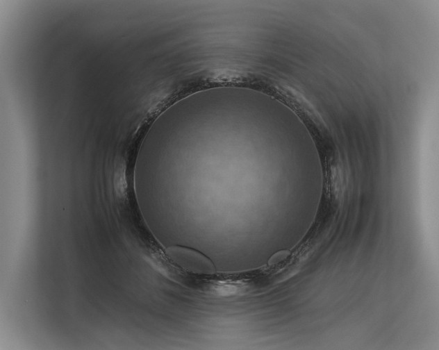 X0000113780508200909231318