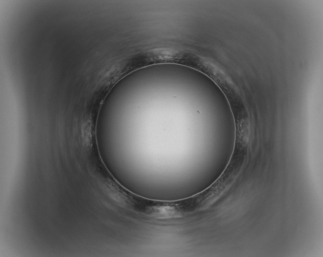 X0000113780509200909231318