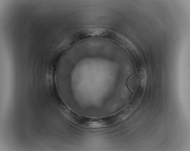 X0000113780510200909231318