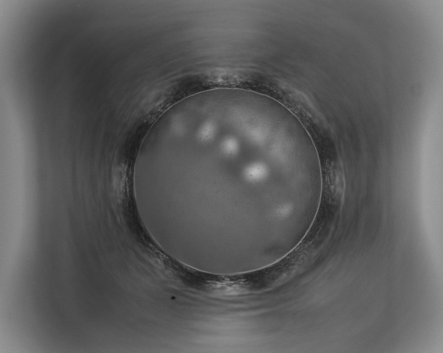 X0000113780511200909231318
