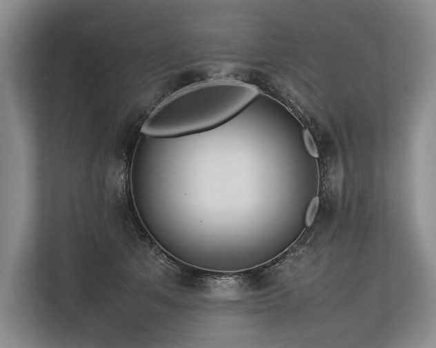 X0000113780513200909231318