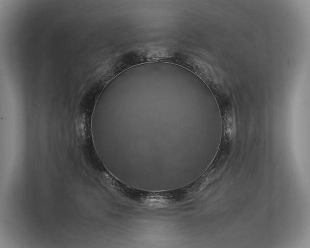 X0000113780519200909231318