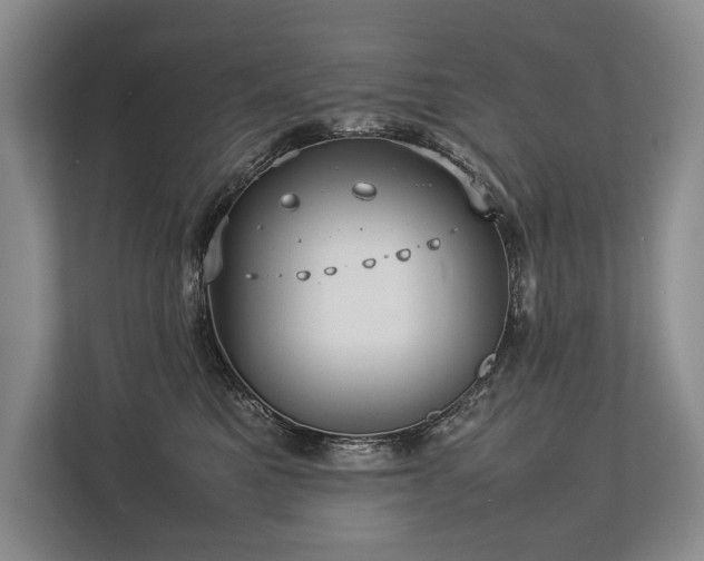 X0000113780521200909231318