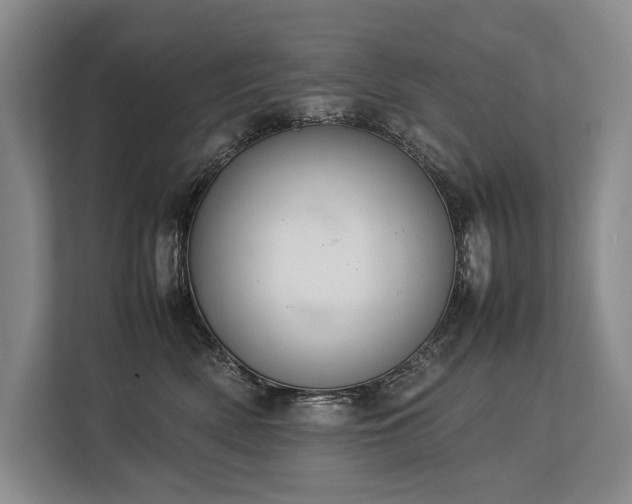 X0000113780522200909231318