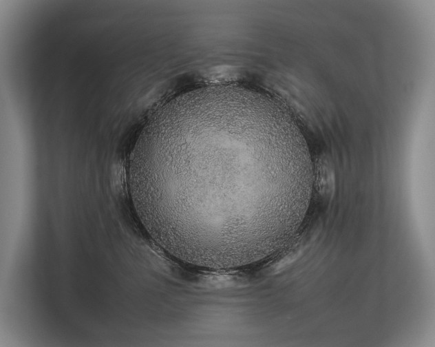 X0000113780523200909231318