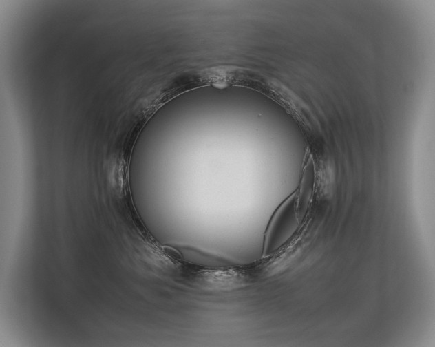 X0000113780525200909231318