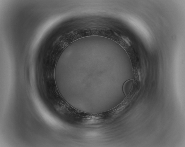 X0000113780526200909231318