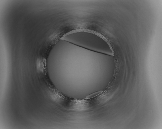 X0000113780528200909231318