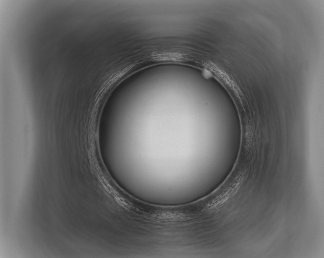 X0000113780529200909231317