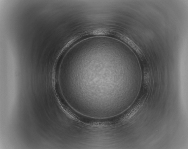 X0000113780530200909231317
