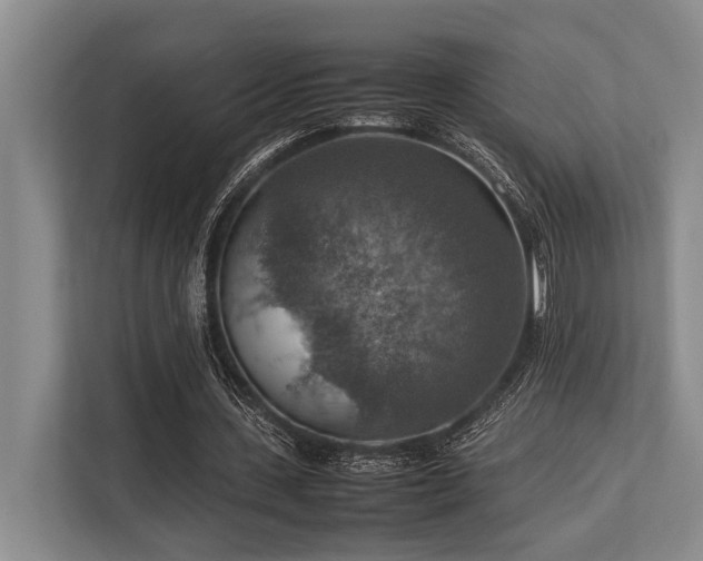 X0000113780531200909231317