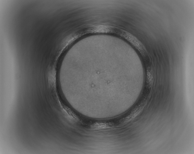 X0000113780534200909231317