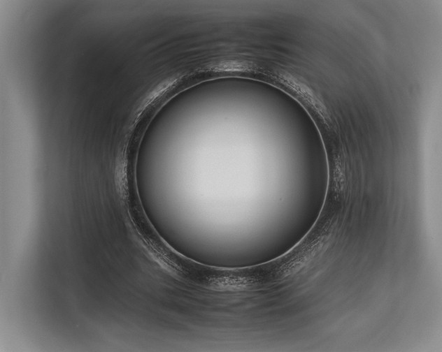 X0000113780535200909231317
