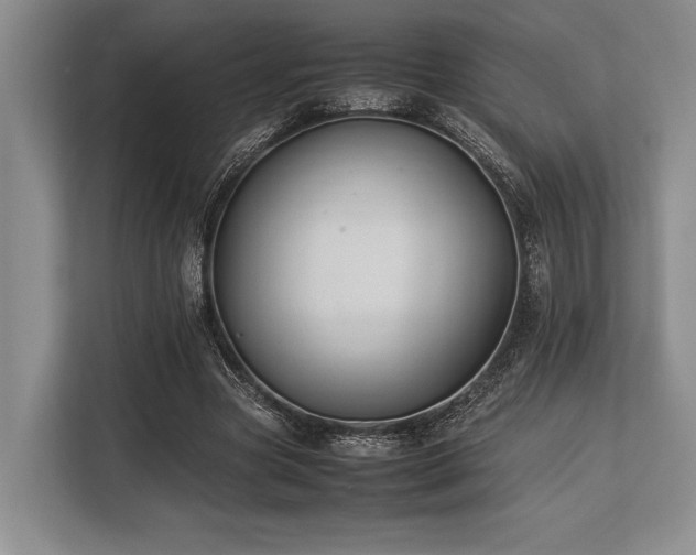 X0000113780537200909231317