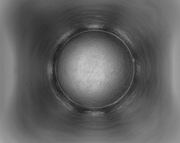 X0000113780539200909231317