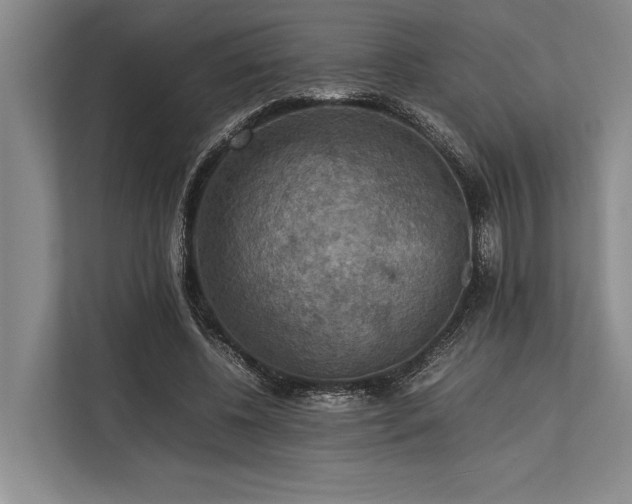 X0000113780540200909231317