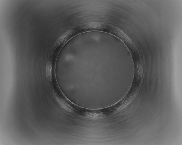 X0000113780542200909231318