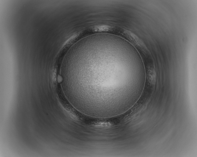 X0000113780543200909231318