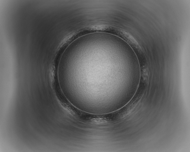 X0000113780544200909231318