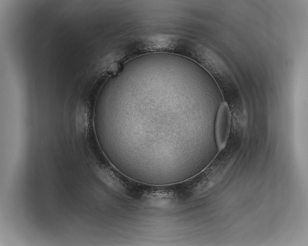 X0000113780546200909231318