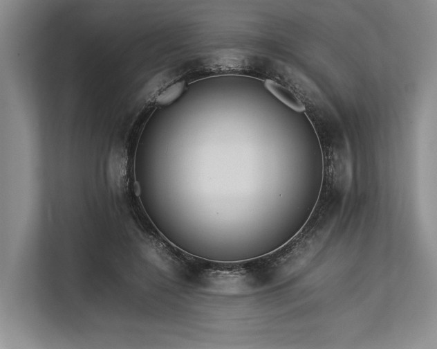 X0000113780548200909231318