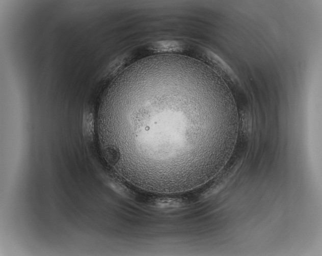 X0000113780549200909231318