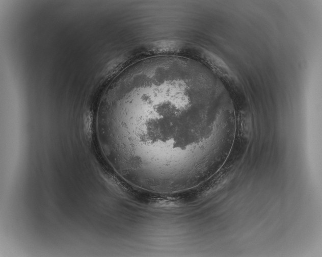X0000113780550200909231318