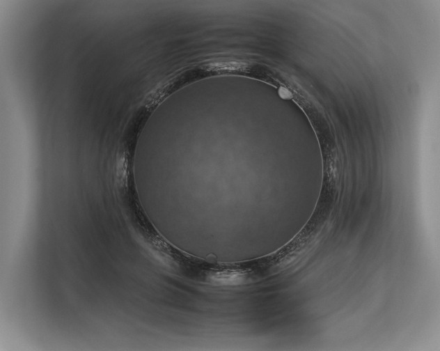 X0000113780551200909231318
