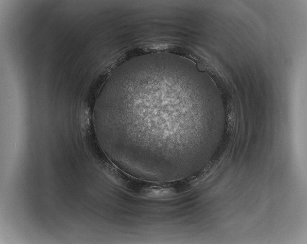 X0000113780555200909231318