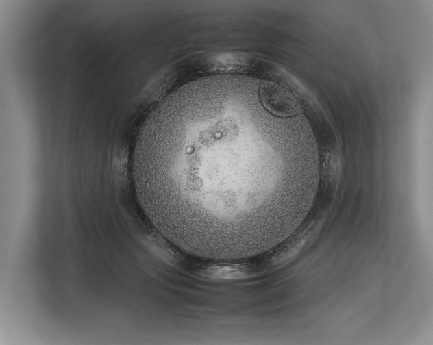X0000113780557200909231318