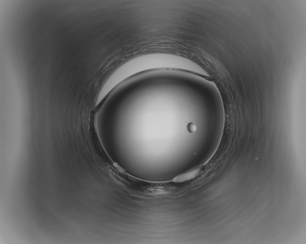 X0000113780558200909231318