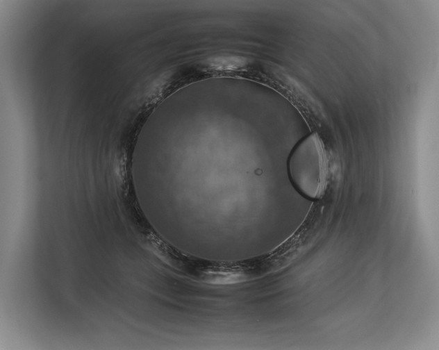 X0000113780559200909231318