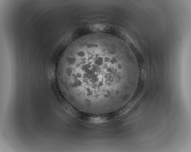 X0000113780561200909231318