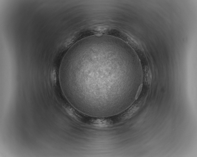 X0000113780562200909231318