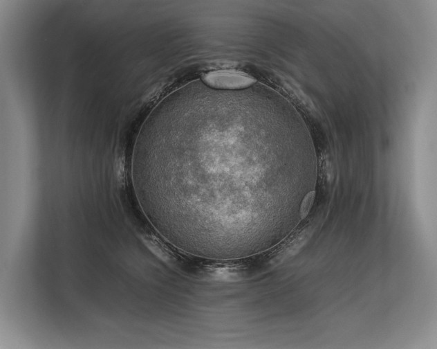 X0000113780564200909231318