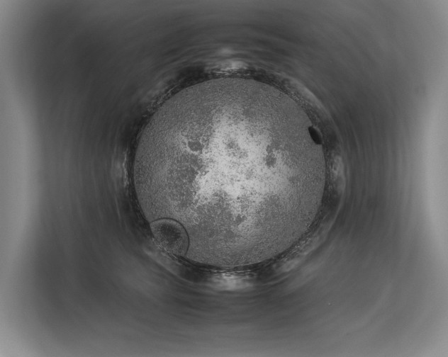 X0000113780565200909231318