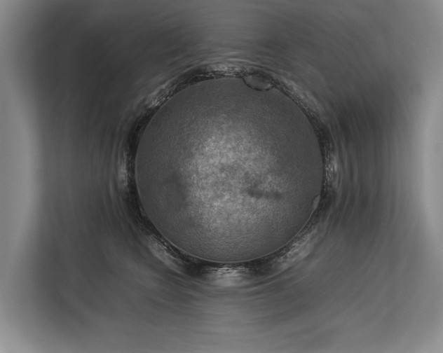 X0000113780566200909231318