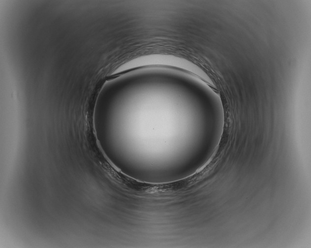 X0000113780568200909231318