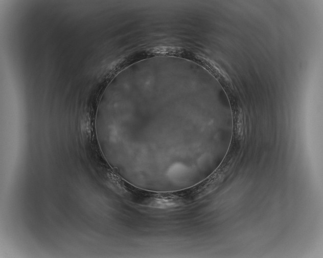X0000113780569200909231318
