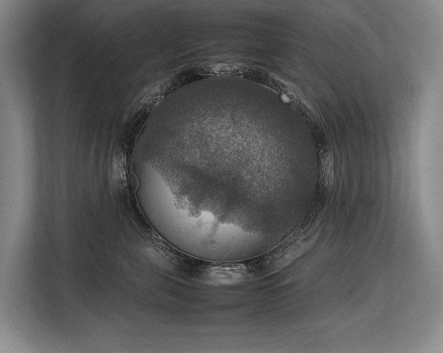 X0000113780571200909231318