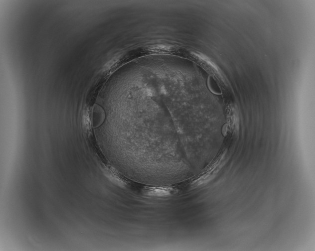 X0000113780573200909231318