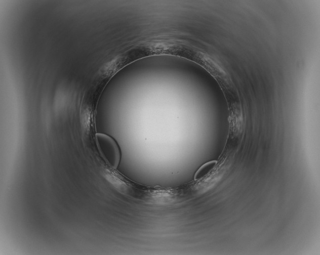 X0000113780574200909231318
