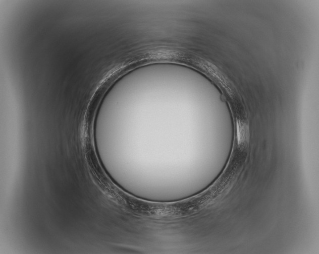 X0000113780579200909231317