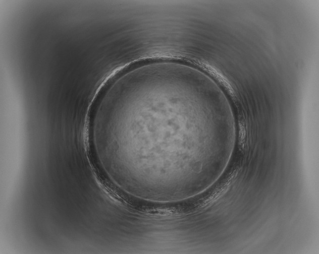 X0000113780580200909231317