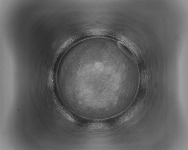 X0000113780581200909231317
