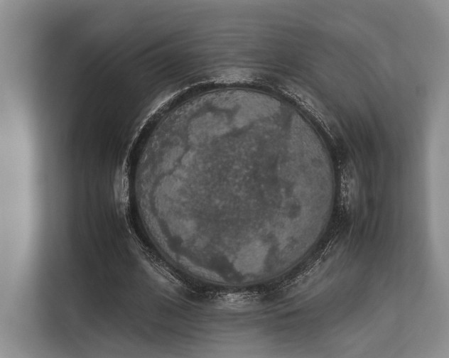 X0000113780584200909231317