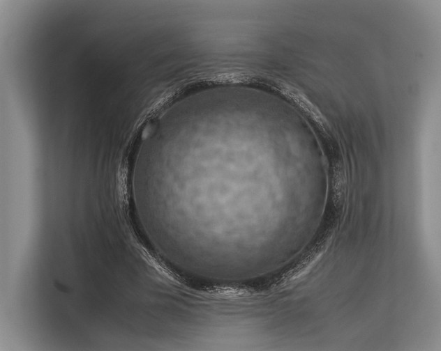 X0000113780585200909231317